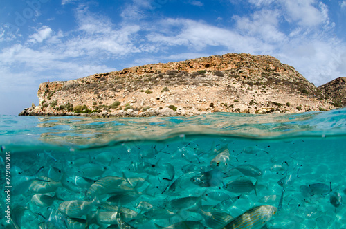 MEDITERRANEAN MARINE ENVIRONMENT LAMPEDUSA