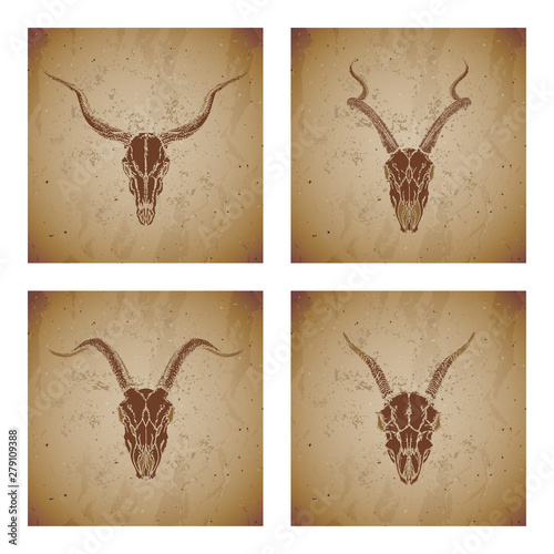 Vector set of four illustrations with hand drawn silhouettes skulls antelope and goat on vintage grunge background. Sketch in sepia color.