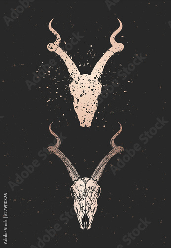 Vector illustration with two variants of hand drawn antelope skull on black background. Gold silhouettes and contour with grunge texture.