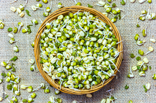 Fotografie Flat lay photo of green fresh mungo sprouts in a wicker bowl on a wooden background