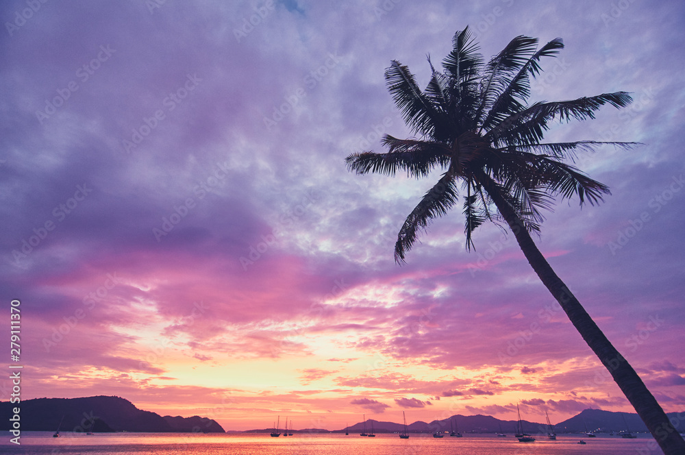 Beautiful landscape with palm tree silhouette on sunset tropical beach.