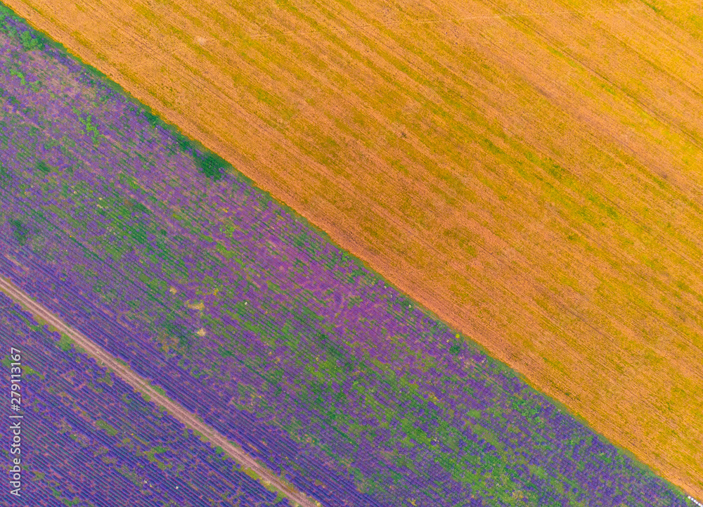 Top down view of fields with various types of agriculture. Beautiful lavender fields.