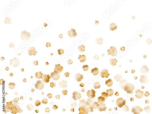 Gold seashells vector, golden pearl bivalved mollusks.