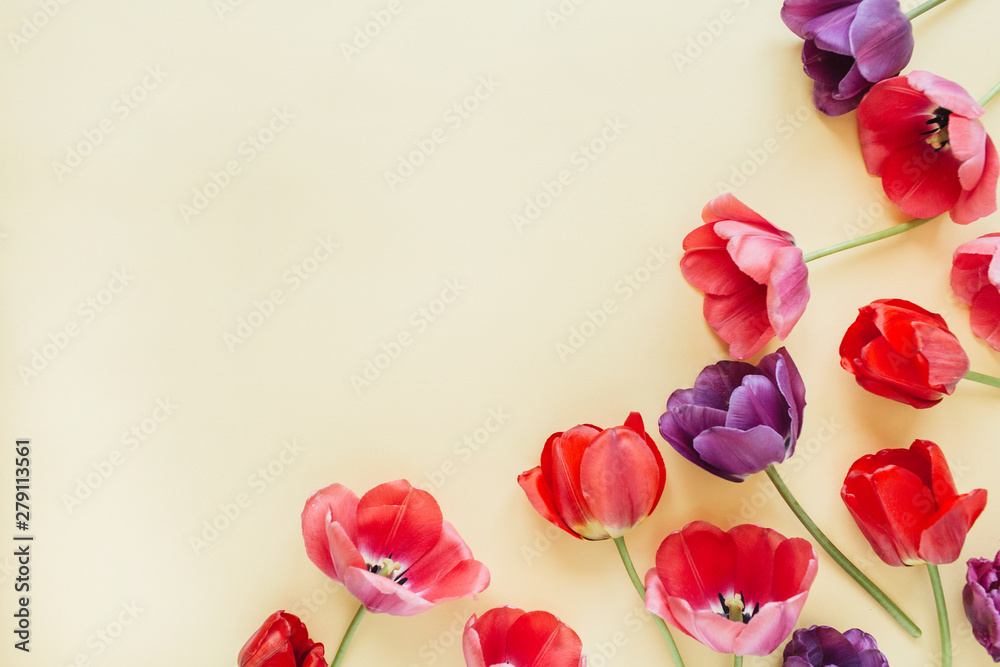 Fototapeta premium Colorful tulip flowers on pastel background. Flat lay, top view minimal summer floral pattern composition.