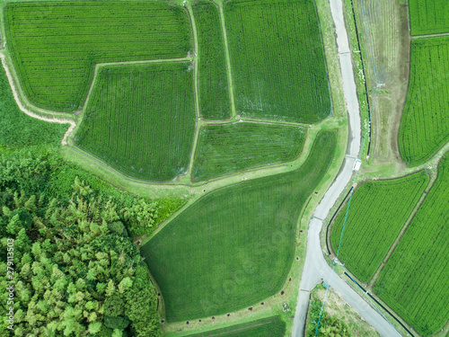 田んぼの中の一本道　俯瞰図