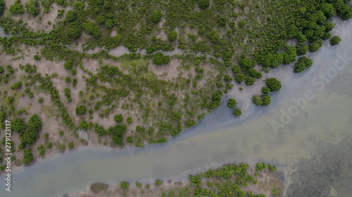 drone flying over Inverloch mangroves photo