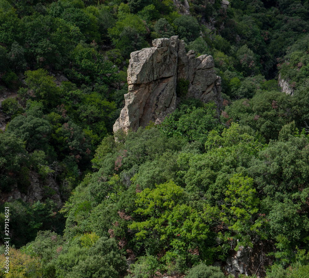 Gorge d'Heric Mons la Trivalle Languedoc France 