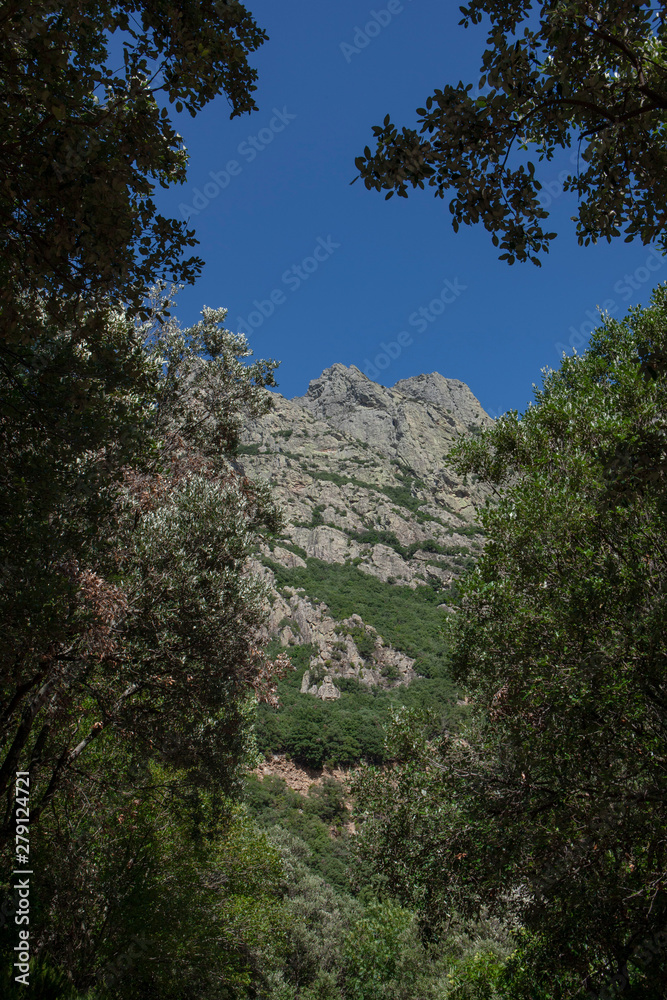 Mons la Trivalle Languedoc France Gorge d'Heric Mons la Trivalle Languedoc France Gorge d'Heric