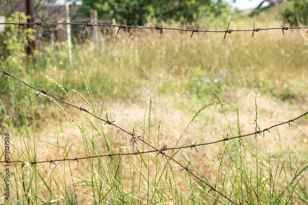 Barb Wire. The territory is fenced off. Dangerous land. Do not go over the fence. Wire in military territory. The battle zone. minefield, stay dangerous. Barb Wire. The territory is fenced off. Dangerous land. Do not go over the fence. Wire in military territory. The battle zone. minefield, stay dangerous.