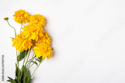 Beautiful bouquet of yellow chrysanthemums close up on white background with empty, clear space, place for text postcard concept.