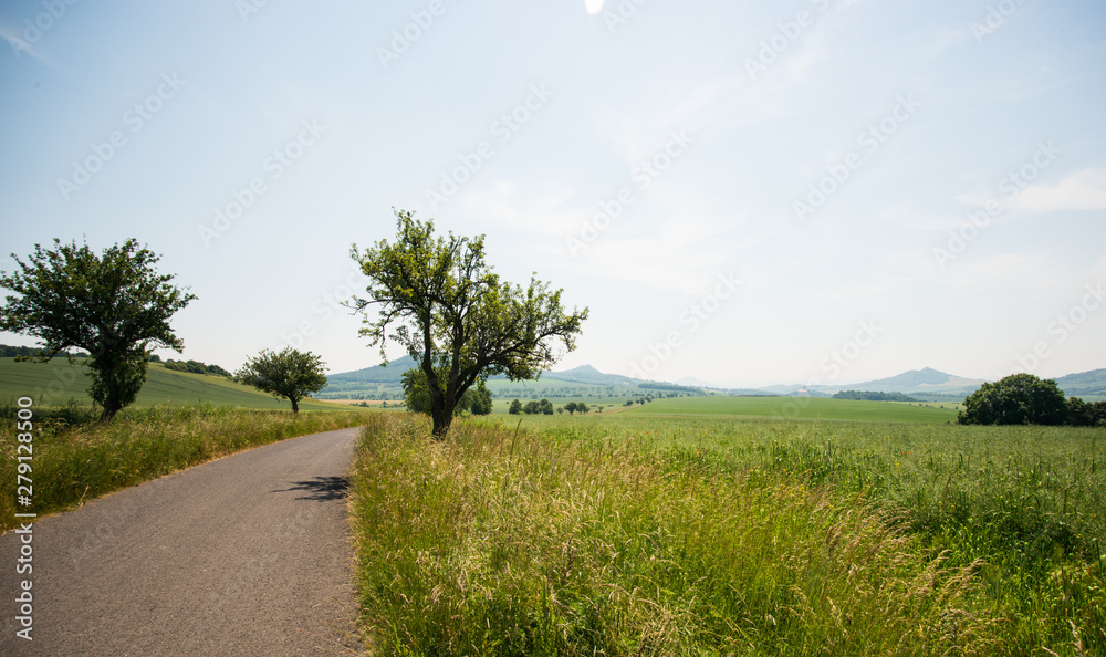Fototapeta premium road in the field
