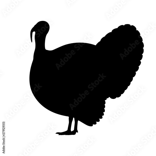 Vector black silhouette of a turkey