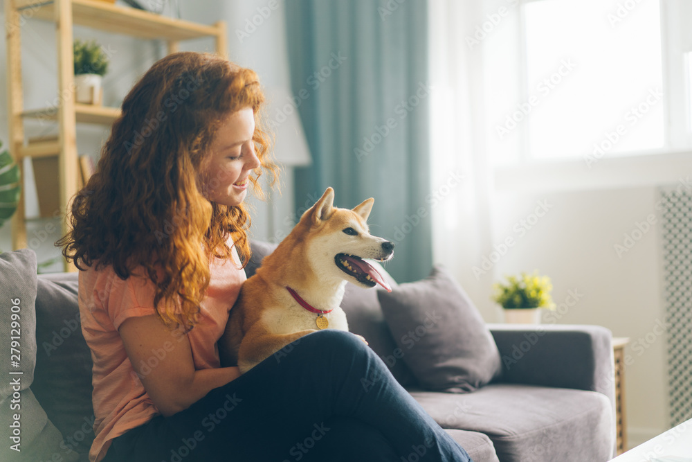 Pretty redhead woman is hugging cute doggy sitting on couch in apartment smiling enjoying beautiful day with beloved animal. People and pets concept. - obrazy, fototapety, plakaty 