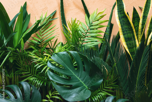 Fototapeta Naklejka Na Ścianę i Meble -  Urban jungle concept