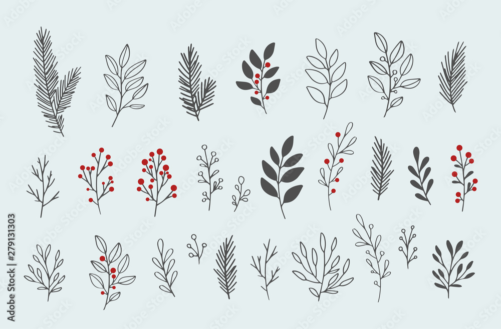 Hand drawn vector winter floral elements. Winter branches and leaves. Hand  drawn floral elements. Vintage botanical illustrations. Stock Vector