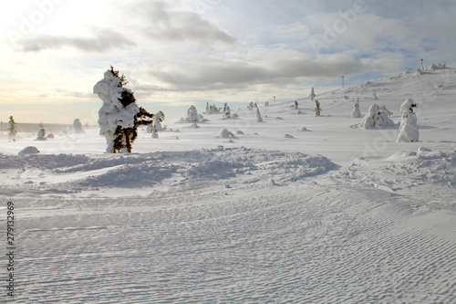 Winter landscape in Lapland, Finland