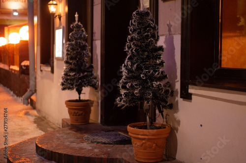 winter  small trees in pots in the snow outside at the door