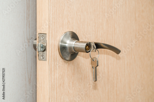 Light entrance door with the handle