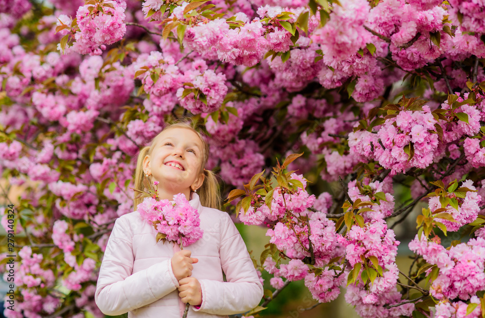 Girl enjoying floral aroma. Pollen allergy concept. Kid on pink flowers sakura tree background. Allergy remedy. Child enjoy life without allergy. Sniffing flowers. Get rid of seasonal allergy Girl enjoying floral aroma. Pollen allergy concept. Kid on pink flowers sakura tree background. Allergy remedy. Child enjoy life without allergy. Sniffing flowers. Get rid of seasonal allergy