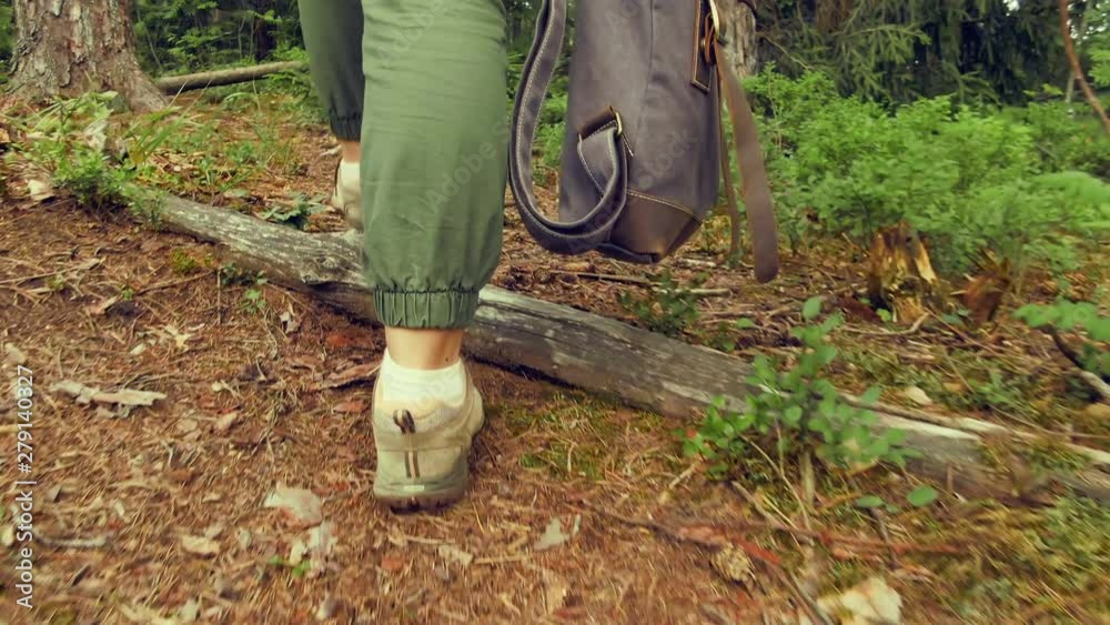 Camera follows the traveler’s feet along a forest path through the trees. Hiking. Discover new places. Camera follows the traveler’s feet along a forest path through the trees. Hiking. Discover new places.