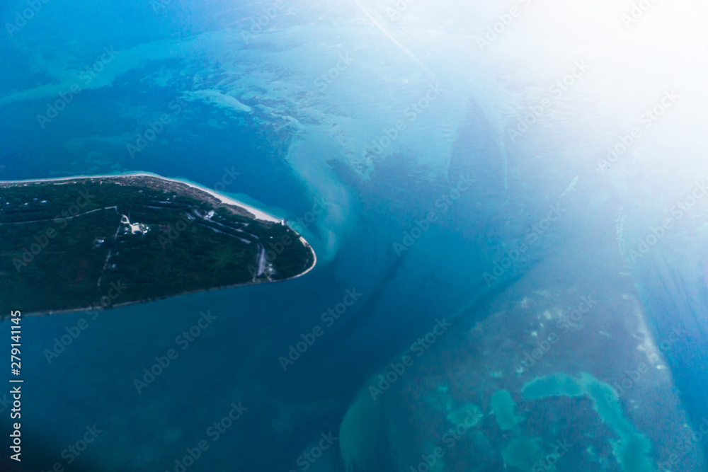 Fototapeta premium fish in the sea