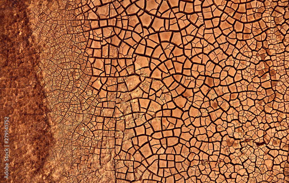 Canvas Print Dry cracked earth background, clay desert texture