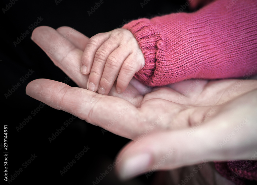 Fototapeta premium OLYMPUS DIGITAL CAMERA