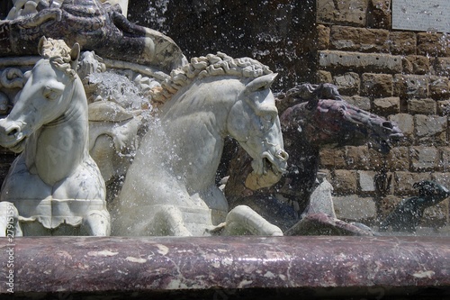 Three horses of Fountain Neptune, Florence photo