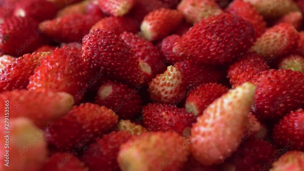 Rotation Macro Wild Strawberry Background Rotation Macro Wild Strawberry Background