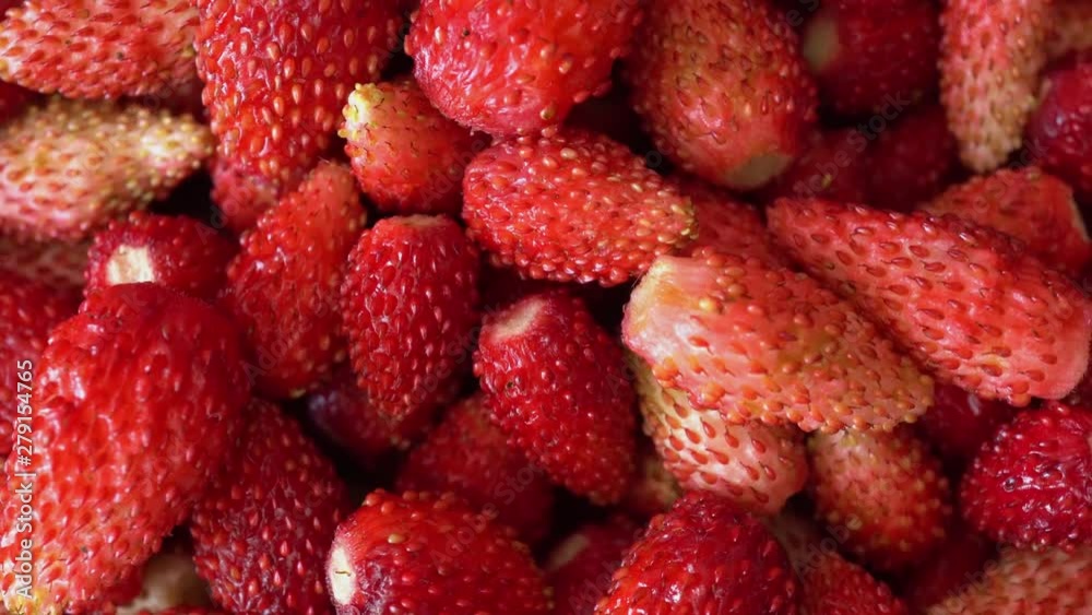 Rotation Macro Wild Strawberry Background Rotation Macro Wild Strawberry Background