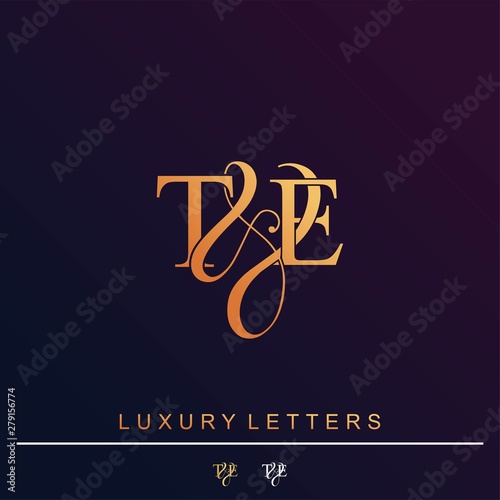 T & E TE logo initial vector mark. Initial letter T & E TE luxury art vector mark logo.