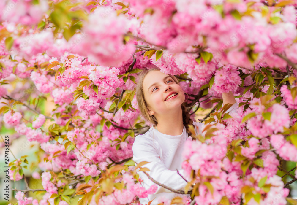 Little girl enjoy spring. Kid enjoying pink cherry blossom. Tender bloom. Pink is the most girlish color. Bright and vibrant. Pink is my favorite. Kid on pink flowers of sakura tree background