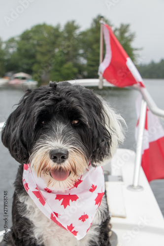 dog in front of a Canadian flag at a lake