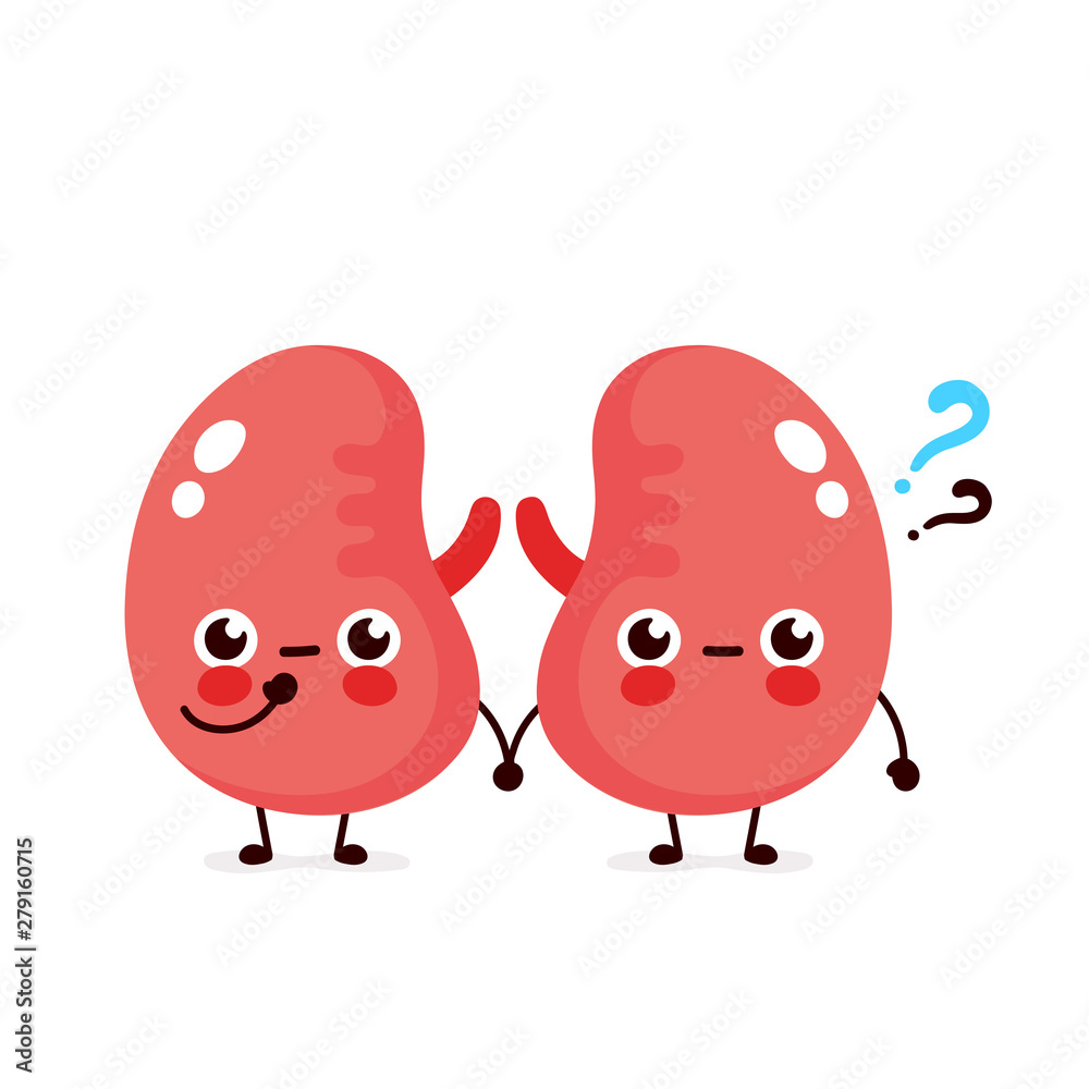 Cute kidneys with question mark character Cute kidneys with question mark character
