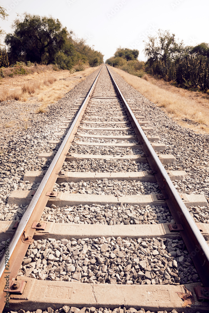 Fototapeta premium Train tracks landscape desaturated.