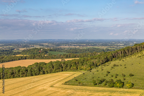 A full frame photograph of an agricultural field in summer