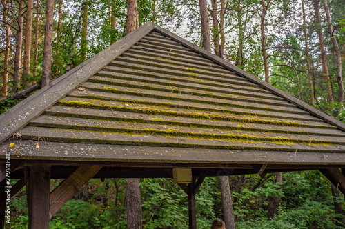 Wooden roof