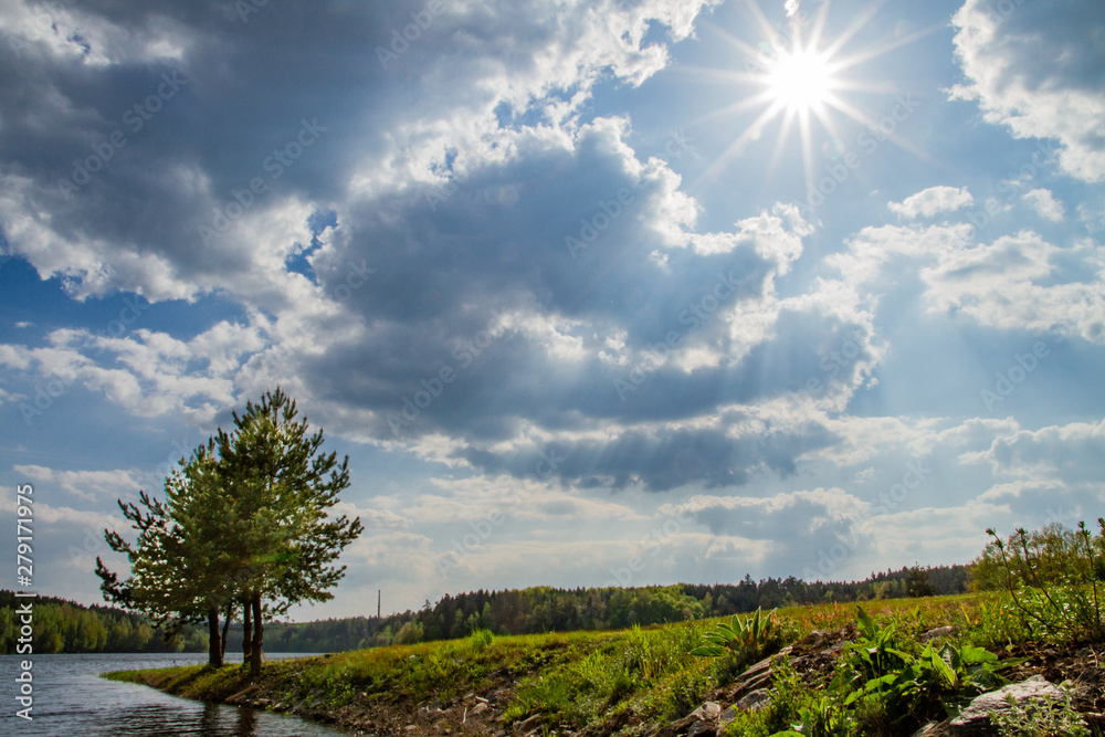 Obraz premium landscape with trees and blue sky