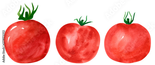 Set of different vegetables, hand drawn watercolor illustration. Tomato. Can be used for menu and recipe design. photo