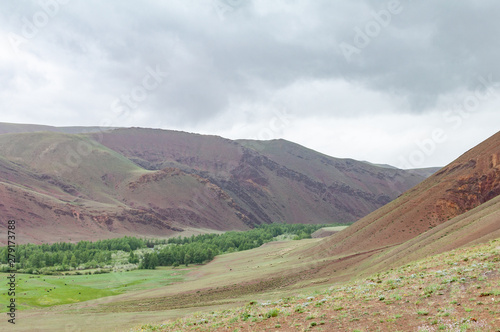 Valley of ancient river Yustyd at summer and view on Altai mountains, Altai Republic, Siberia, Russia.