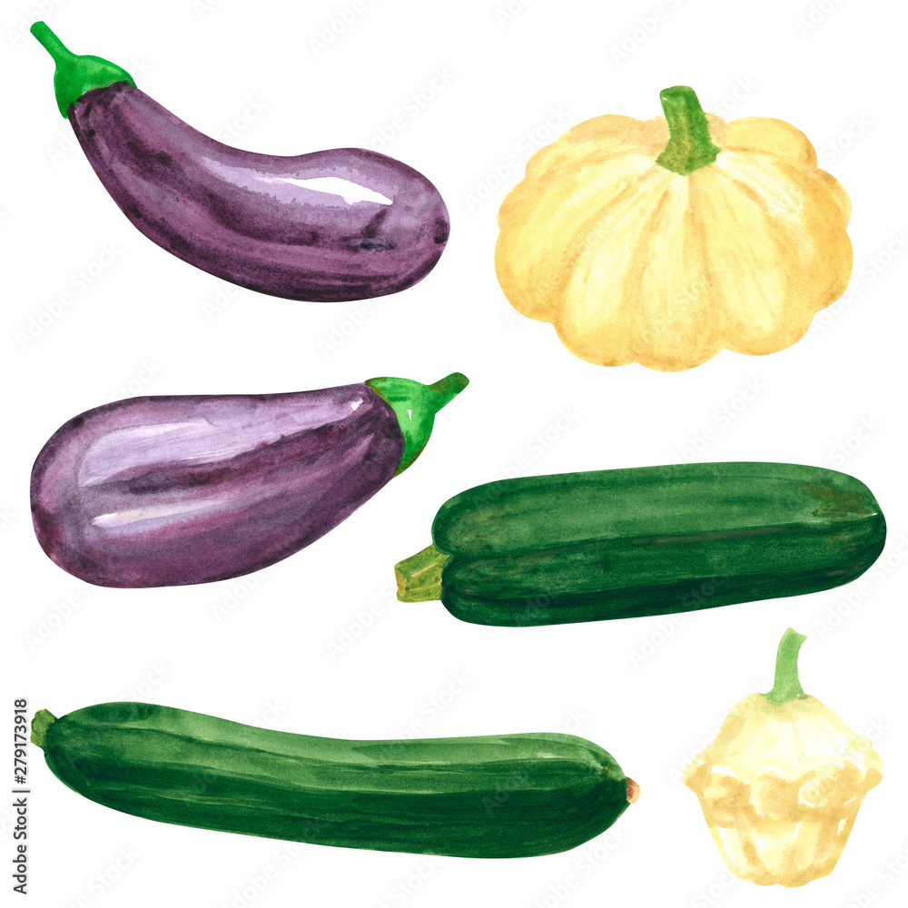 Set of different vegetables, hand drawn watercolor illustration. Eggplant, aubergine, squash. Can be used for menu and recipe design. Set of different vegetables, hand drawn watercolor illustration. Eggplant, aubergine, squash. Can be used for menu and recipe design.