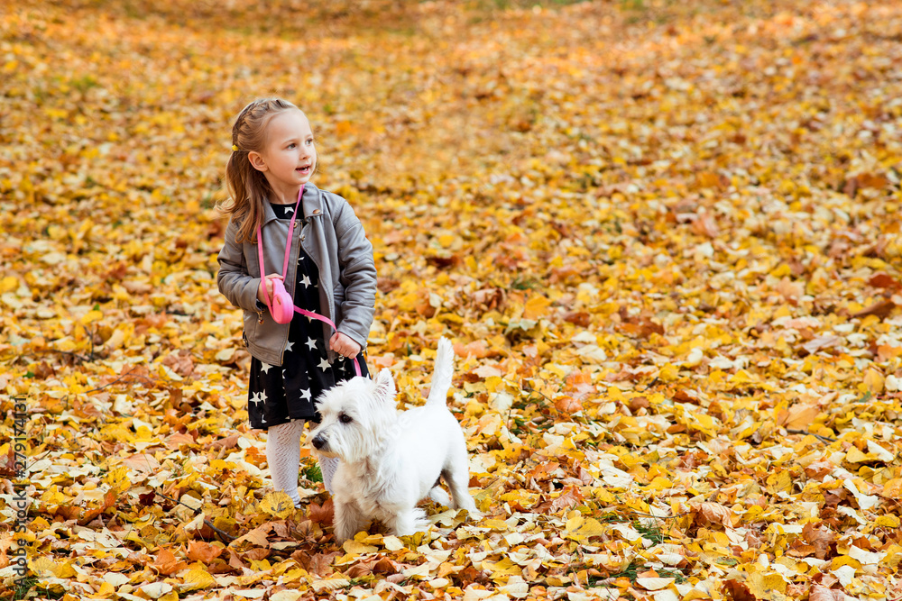 Cute little girl playing with her dog in autumn park. Beautiful autumn time. Happy child with dog.