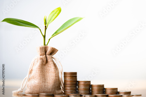 Coins in sack and small plant tree. Pension fund, 401K, Passive income. savings and making money. Investment and retirement. Business investment growth concept. Risk management. photo