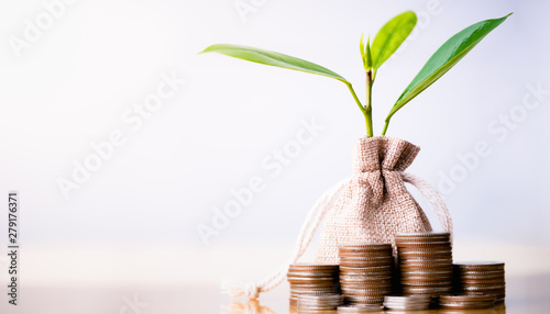 Coins in sack and small plant tree. Pension fund, 401K, Passive income. savings and making money. Investment and retirement. Business investment growth concept. Risk management. photo