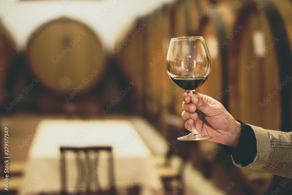 Wine tasting at the winery. Male hand holding a glass of red wine on the background of wine barrels. Selective focus Wine tasting at the winery. Male hand holding a glass of red wine on the background of wine barrels. Selective focus