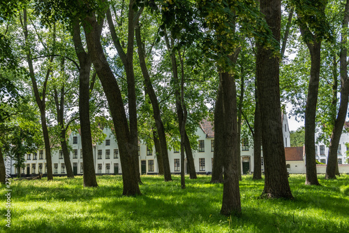 Bruges  Flanders  Belgium -  June 17  2019  Enclosed central park of Beguinage comes with green lawn and lots of tall dark trunked trees and green foliage hiding the sky  White houses in back.