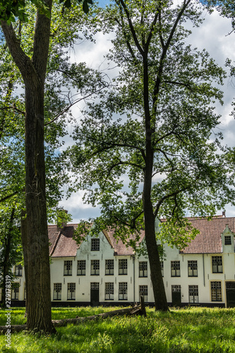 Bruges, Flanders, Belgium - June 17, 2019: Enclosed central park of Beguinage comes with green lawn and lots of tall dark trunked trees and green foliage partly hiding the sky, White houses in back.
