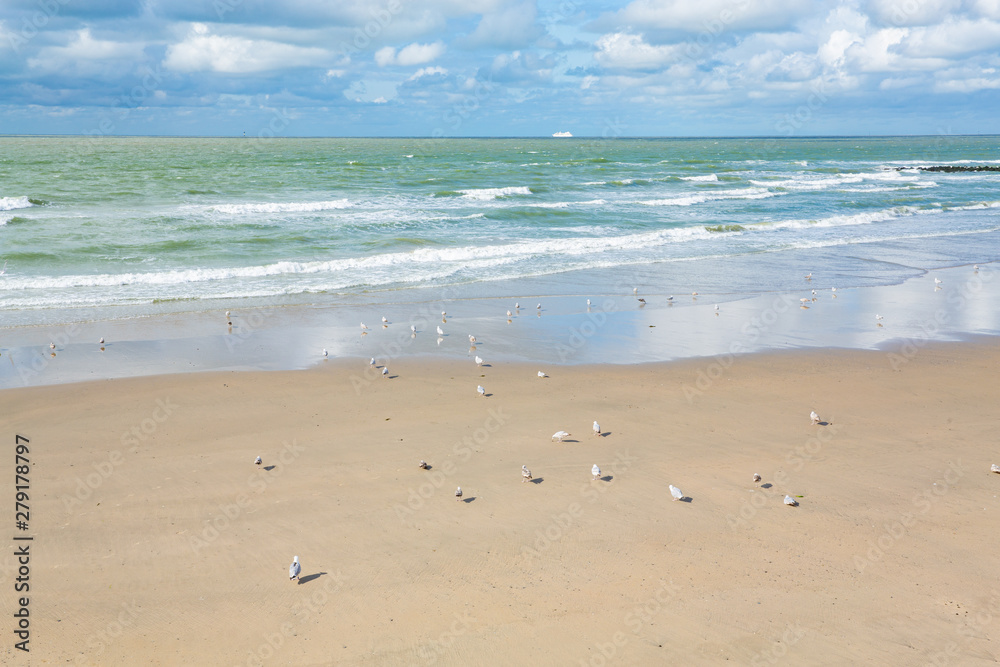 Beautiful seaside near Blankenberge in Flanders, Belgium Beautiful seaside near Blankenberge in Flanders, Belgium