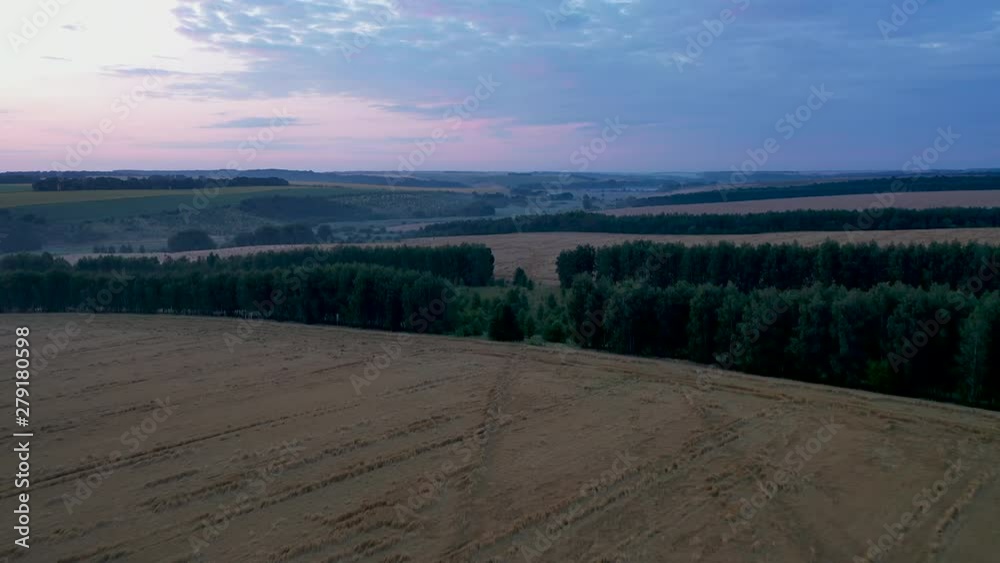 Crop wheat tumbled downpour. The problem of bad weather conditions is a serious problem for farmers, threatening crop loss. Crop wheat tumbled downpour. The problem of bad weather conditions is a serious problem for farmers, threatening crop loss.