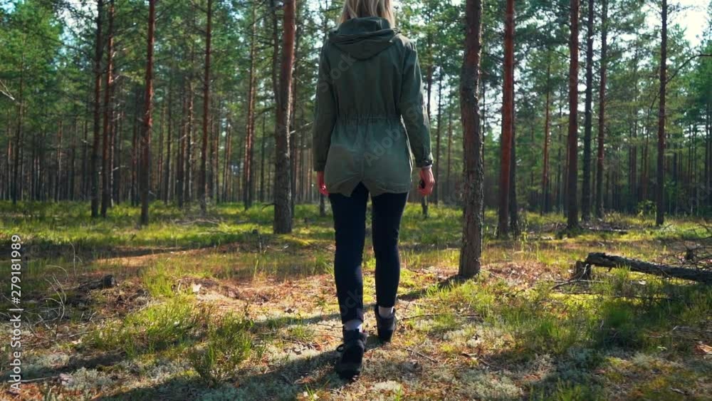 Young Female Walking among trees in forest. Slow motion footage. Amazing sunset, summer landscape. Young Female Walking among trees in forest. Slow motion footage. Amazing sunset, summer landscape.